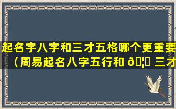 起名字八字和三才五格哪个更重要（周易起名八字五行和 🦁 三才五格哪个 🦋 更重要）